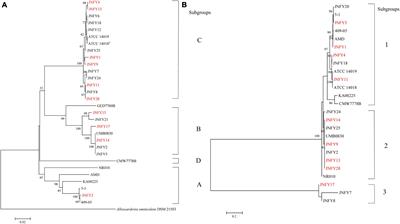Antibiotic resistance and <mark class="highlighted">pathogenicity assessment</mark> of various Gardnerella sp. strains in local China